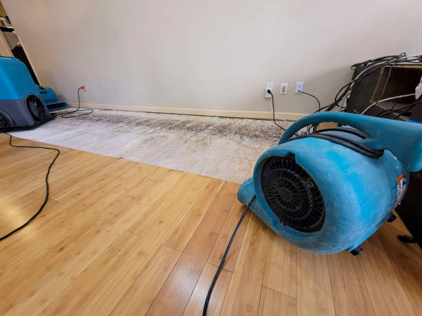 Professional Emergency Water Damage technician working in Richton, MS